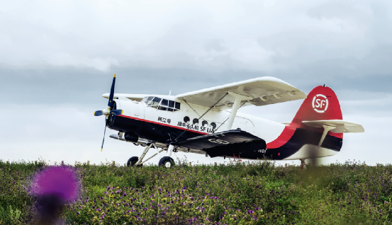 һ���� - �������ĵ羺ƽ̨